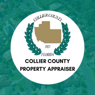 Honorable Vickie A. Downs